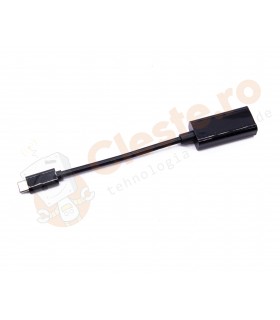 Adaptor USB C la HDMI 4K