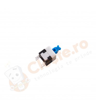 Intrerupator cu retinere