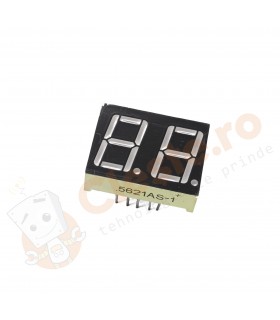 Display LED cu 2 caractere