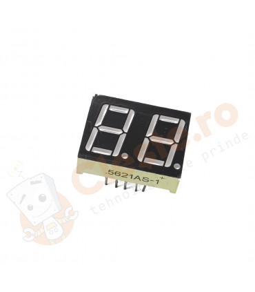 Display LED cu 2 caractere