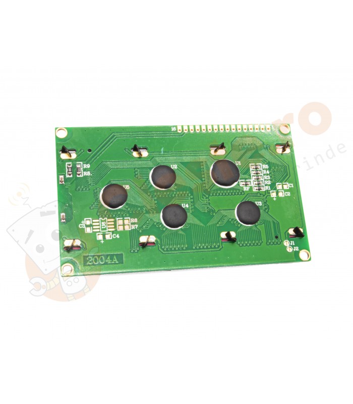Ecran LCD 2004 Verde