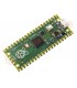 Raspberry Pi Pico