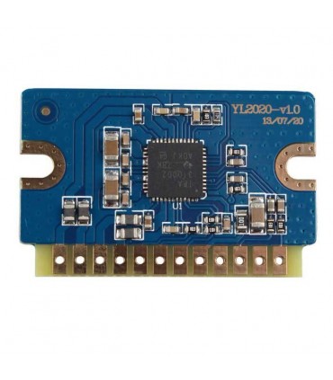 Modul amplificator mini YL2020