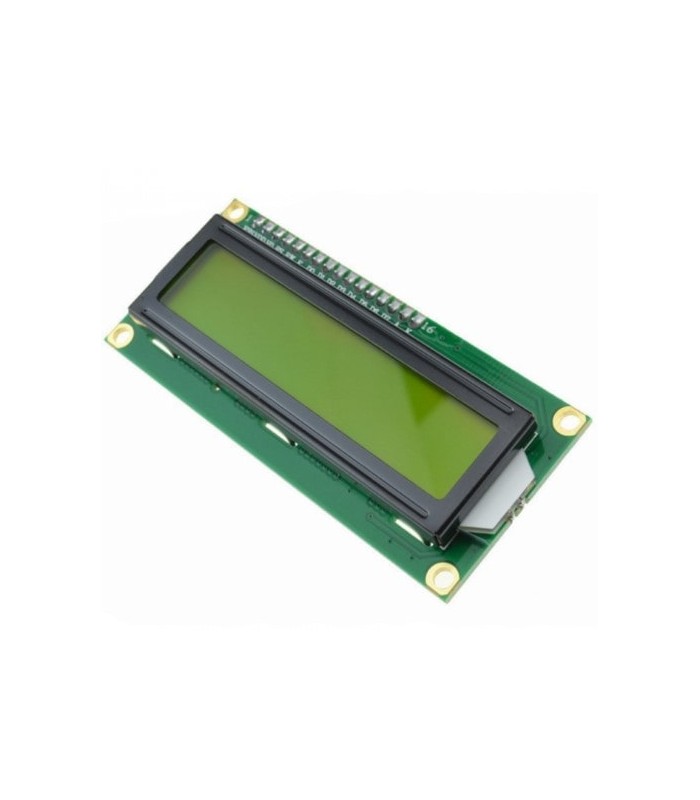 Ecran LCD 2004 Verde