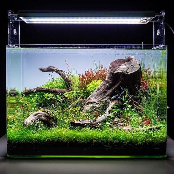 Pompa Silentioasă Submersibilă